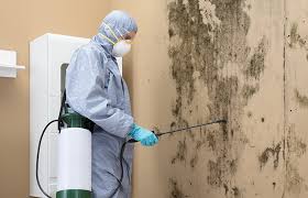 Reliable Simpsonville, SC Mold Removal Solutions